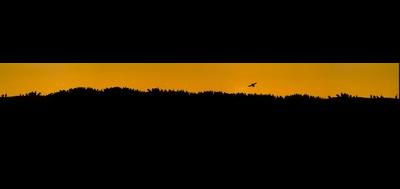 92153-400x189