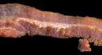 Bacon!