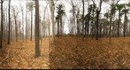 Dairy Bush GigaPan - 116 - November 16  2011
