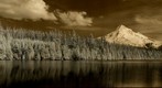 Mt. Hood Oregon