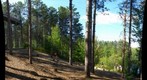 Zip Line Launch - SpringHill, Evart, Michigan