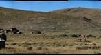 Uptown Bodie