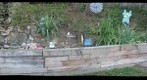 yard-09192008