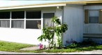 Tornado bait, Florida mobile home park, Osceola County, Florida