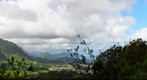 View from old street, Pali Pass, Oahu, Hawaii