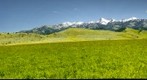 The Crazy Mountains
