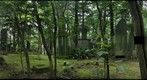 Stelae of Narita-san Shinsho-ji Temple near Tokyo, Japan