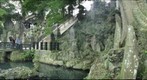 Turtle Pond at entrance of Narita-san Shinsho-ji Temple near Tokyo, Japan 