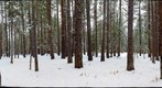 Outside Cabin Door