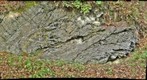 Herbeumont - Lingle (3)
