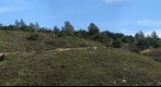 111117 Los Padres National Forest West Camino Cielo ranch area