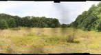 Warren Woods Field Site