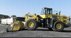 Big and yellow