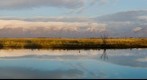 Bear River 