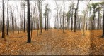 Dairy Bush GigaPan - 118 - November 23 2011