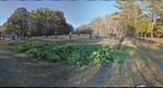 Thanksgiving 2011 - Farmhouse 'crowd'
