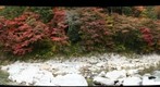 Korankei in Autumn - 2011