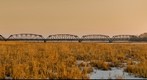 Old Cedar Bridge