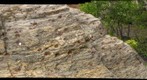 Hooper Garnet Mine (Detail)