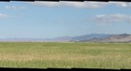 Carrizo Plain