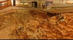 The Mammoth Site