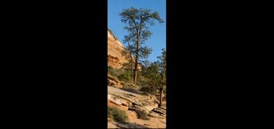 93781-400x189