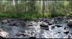 Rågobäcken Restored