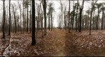Dairy Bush GigaPan - 119 - November 30 2011