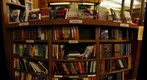 Gigapan books