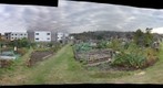 Allotments 2011-10-16