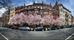 Commonwealth Ave, Boston, Massachusetts in Spring