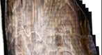 Petrified Wood