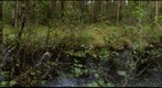Tväråbäcken