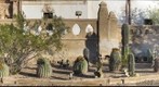 San Xavier Mission Cactus Garden
