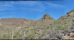 Tucson area landscape