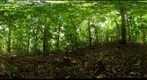 111130 - Costa Rica, Area de Conservacion de Guanacaste (ACG), Volcan Cacao, 1,200m