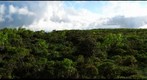 Mount Ka`ala, O`ahu