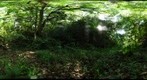 111202 - Costa Rica, Area de Conservacion de Guanacaste (ACG), Volcan Orosi, 700m