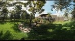 IBAMA's garden in Brasilia, Brazil.