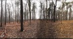 Dairy Bush GigaPan - 120 - December 07 2011