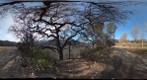 Lake Del Valle