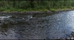 Lycskabacken