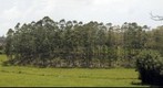 GIGAPHOTO