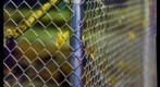 fence corner night