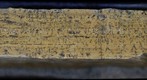 Pyrolusite dendrites on a limestone joint surface