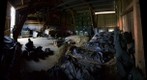 swiss army air defense observators nest