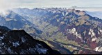 simmental