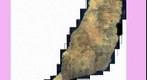 Ortofoto gigapixel de Fuerteventura. Resolución 2m/pixel