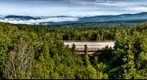 White Mountain Fog