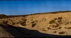 Ft Ord Dunes St Park -- Erosional Ditch